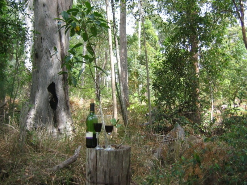 SEAVIEW 350 Stewart Road, Coondoo QLD 4570