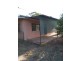 Willows QLD 4702