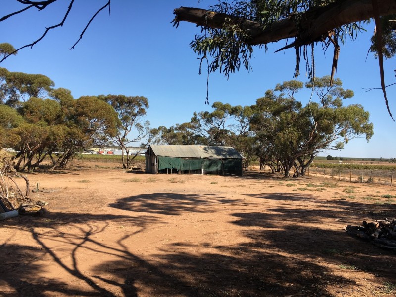 39 Henry road, Kingston On Murray SA 5331