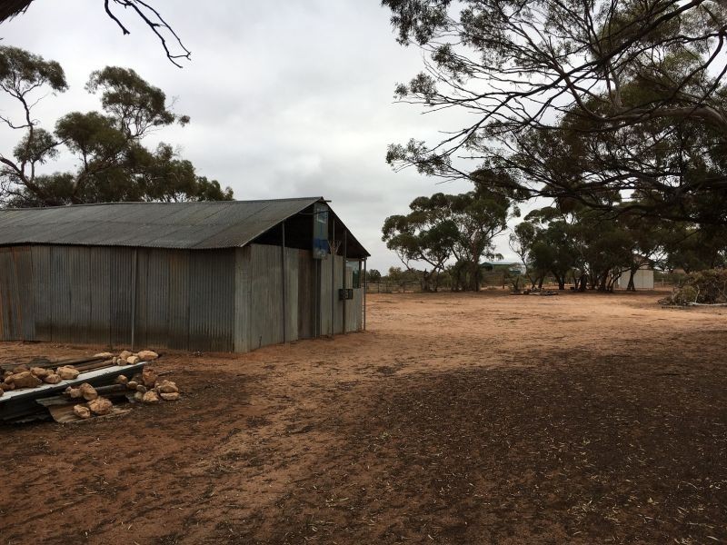 39 Henry road, Kingston On Murray SA 5331