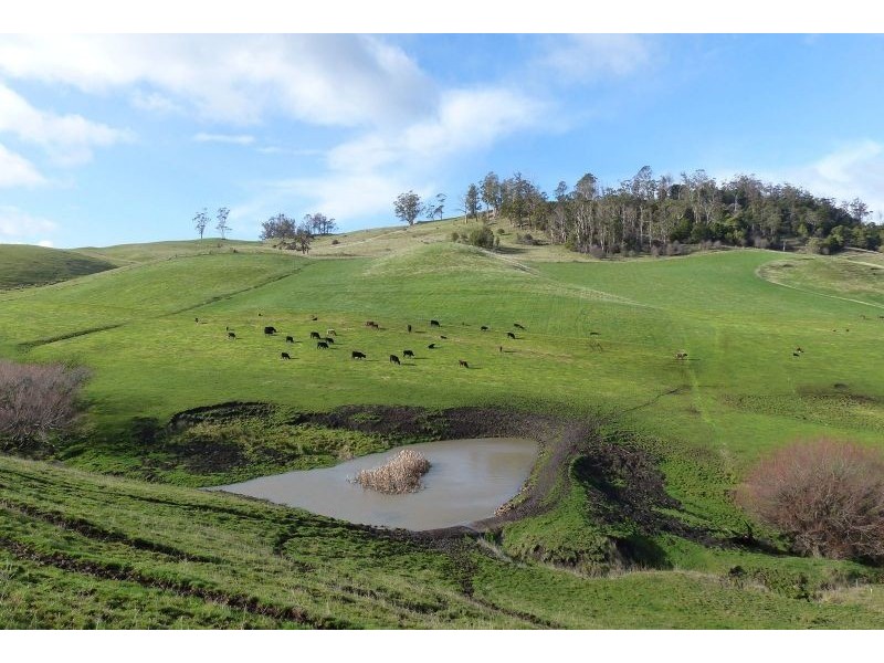 89 Gannons Hill Road, Moltema TAS 7304