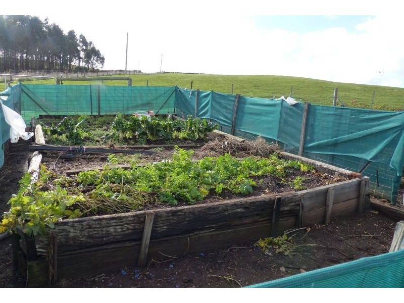 89 Gannons Hill Road, Moltema TAS 7304