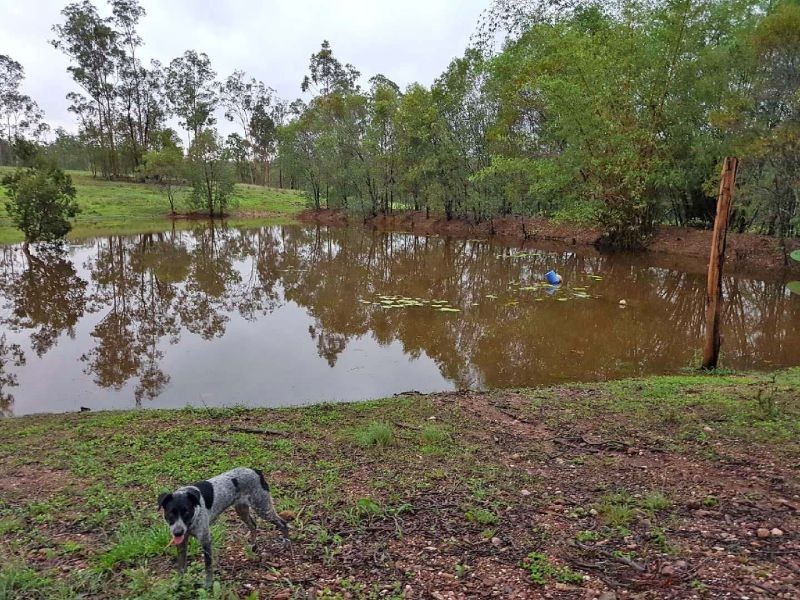 Lot 103 Thinoomba Road, St Mary QLD 4650