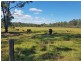 Lot 103 Thinoomba Road, St Mary QLD 4650