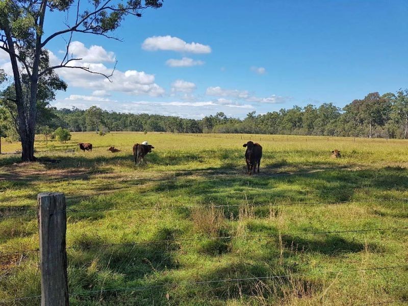 Lot 103 Thinoomba Road, St Mary QLD 4650