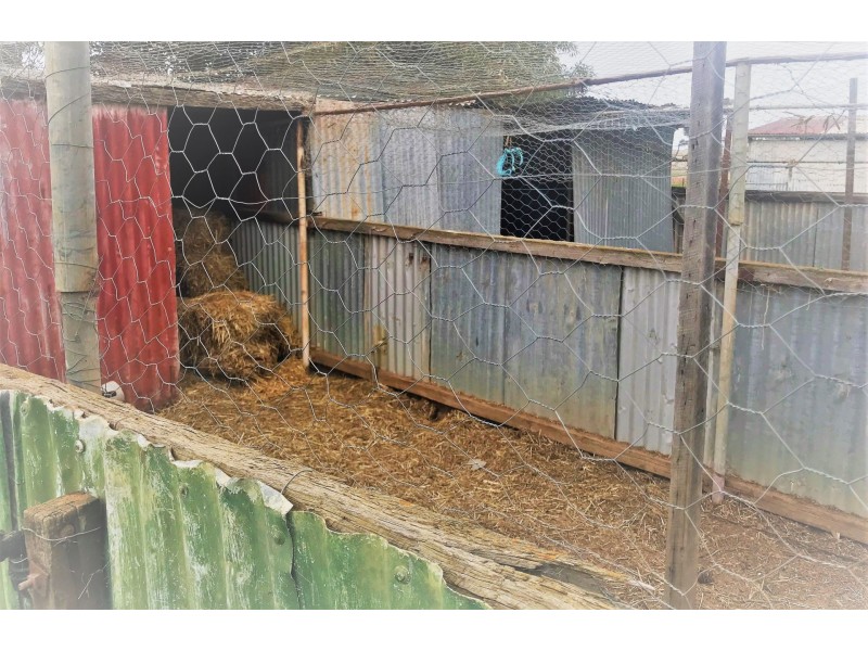 292 Muluckine Road, Grass Valley WA 6403