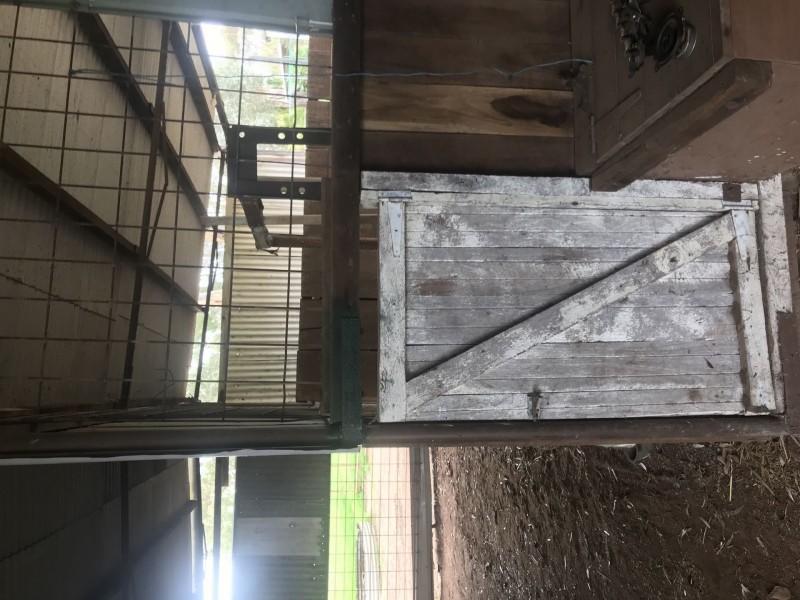 292 Muluckine Road, Grass Valley WA 6403