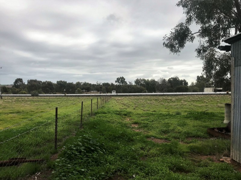 292 Muluckine Road, Grass Valley WA 6403