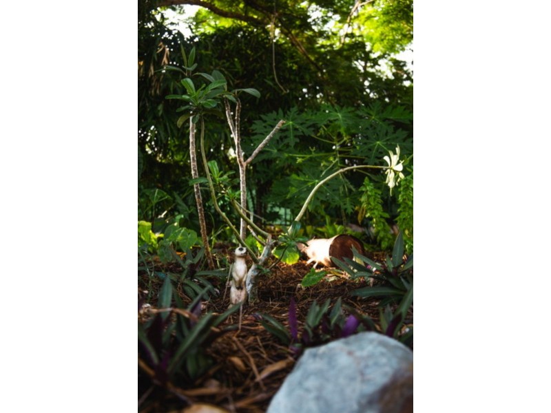 1 Pelican Crescent, Wulagi NT 0812