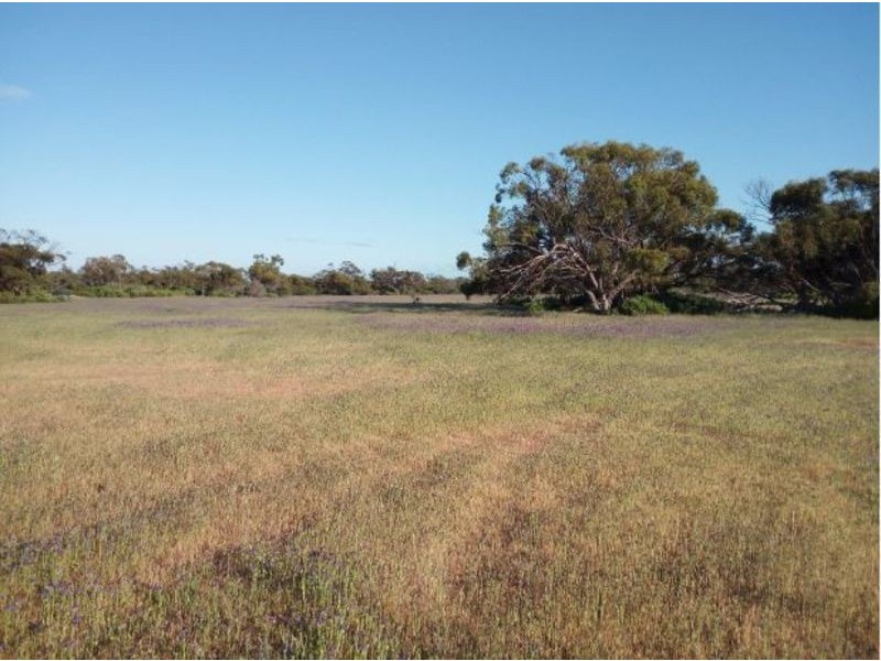 Lot 3568 Arrowsmith, Arrowsmith WA 6525