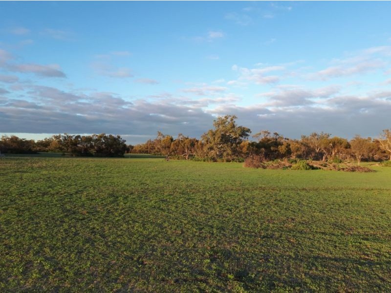 Lot 3568 Arrowsmith, Arrowsmith WA 6525