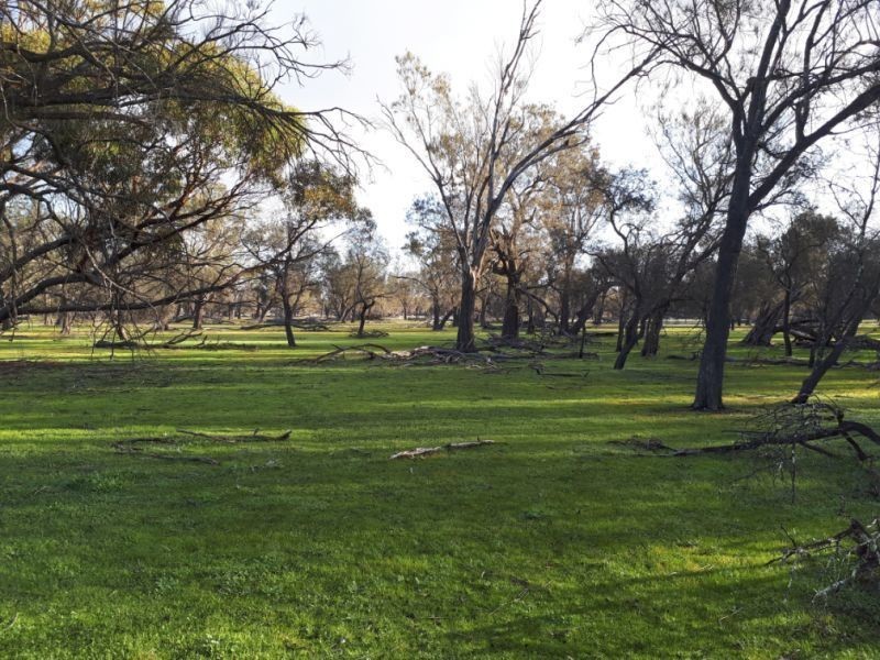 Lot 3568 Arrowsmith, Arrowsmith WA 6525