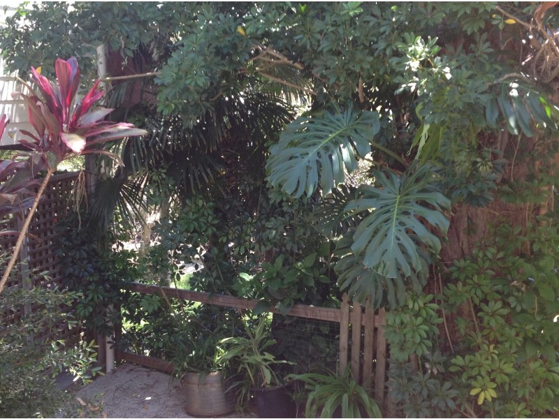 71 Pier Haven, Lamb Island QLD 4184