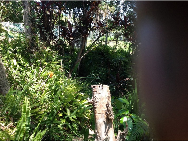 71 Pier Haven, Lamb Island QLD 4184