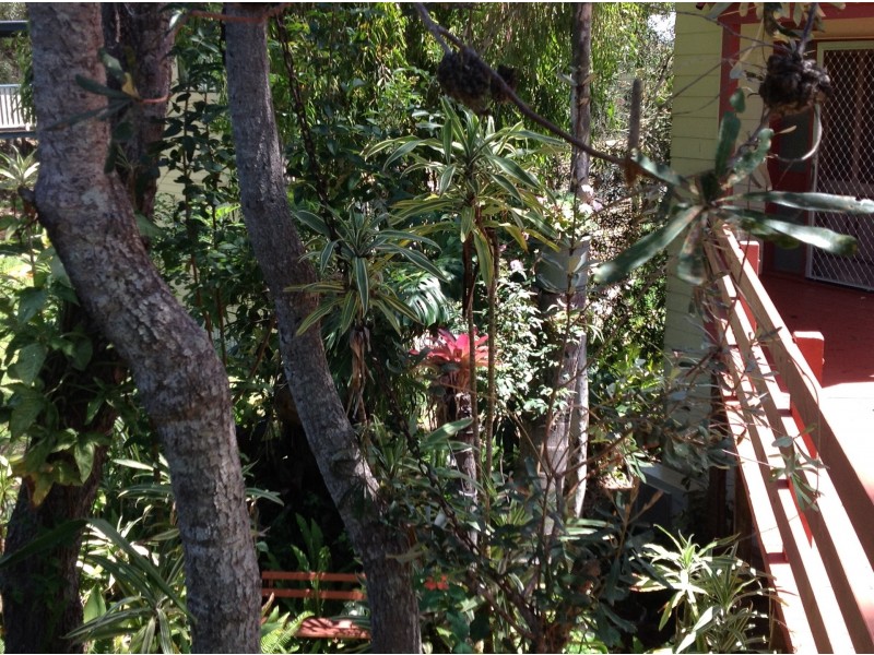 71 Pier Haven, Lamb Island QLD 4184