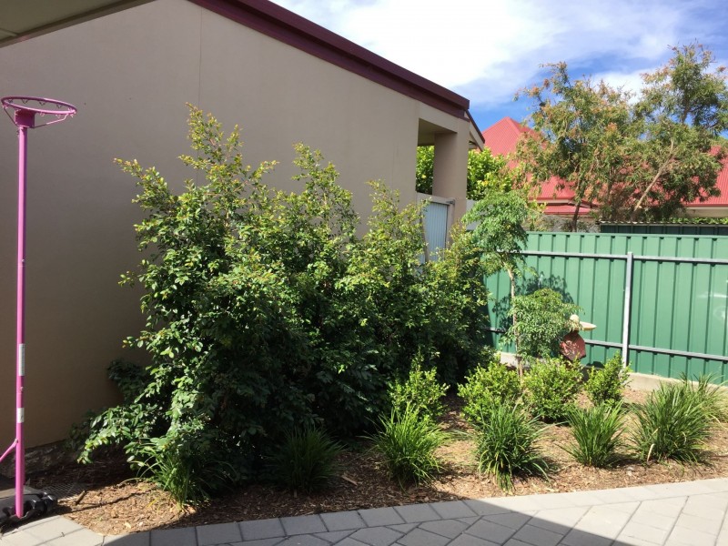 117a Augusta Street, Glenelg East SA 5045