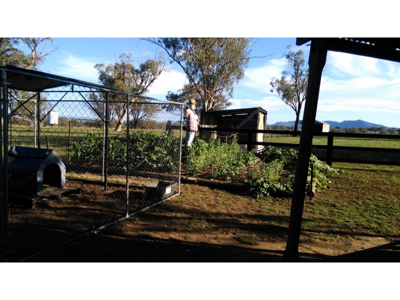 4478 Werris Creek Road, Tamworth NSW 2340