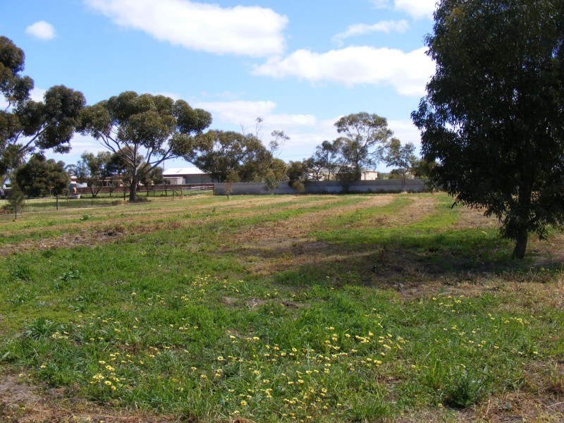 5 Main Street, Arthurton SA 5572