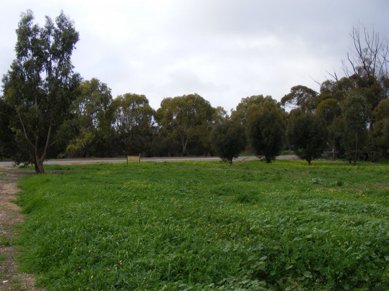 5 Main Street, Arthurton SA 5572