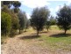 5 Main Street, Arthurton SA 5572