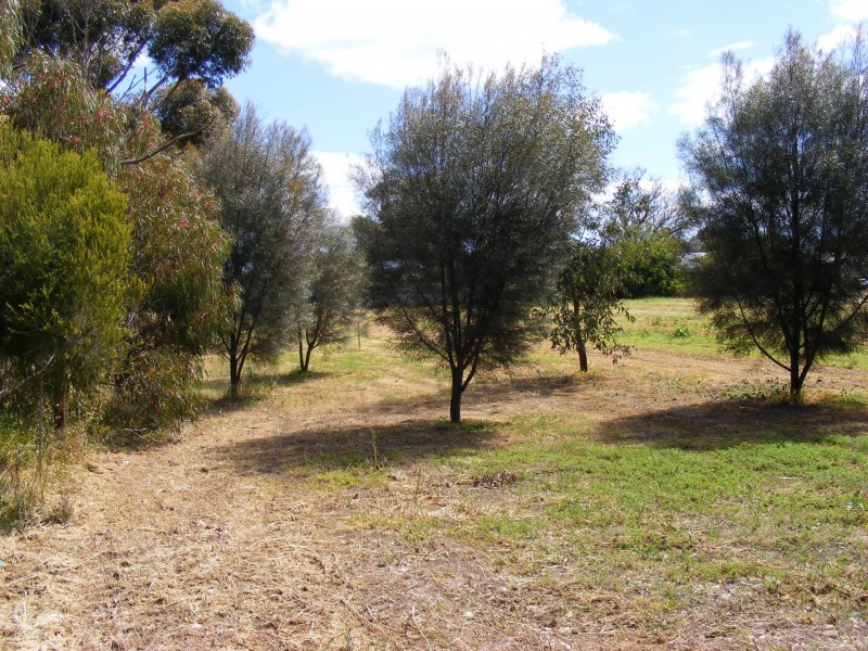 5 Main Street, Arthurton SA 5572