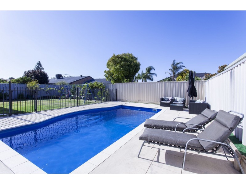 35 Hargrave Street, Stirling WA 6021