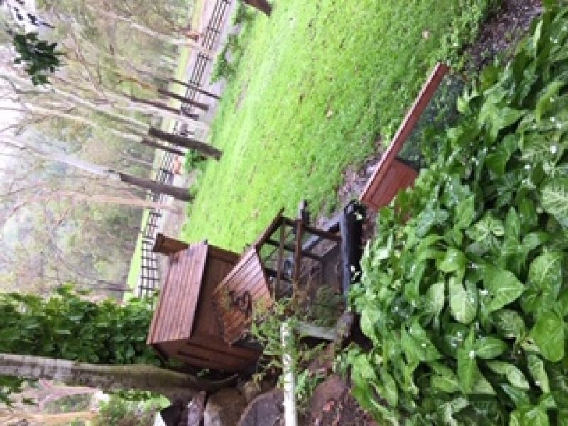 93 Bonnie Springs Rd, Proserpine QLD 4800