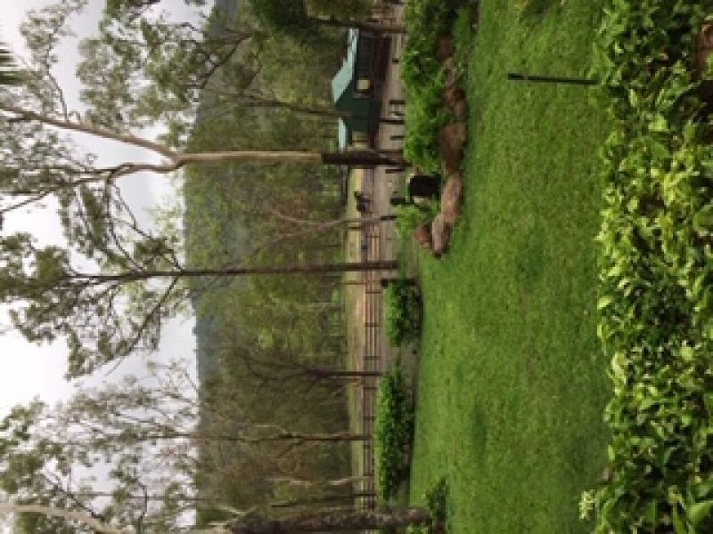 93 Bonnie Springs Rd, Proserpine QLD 4800