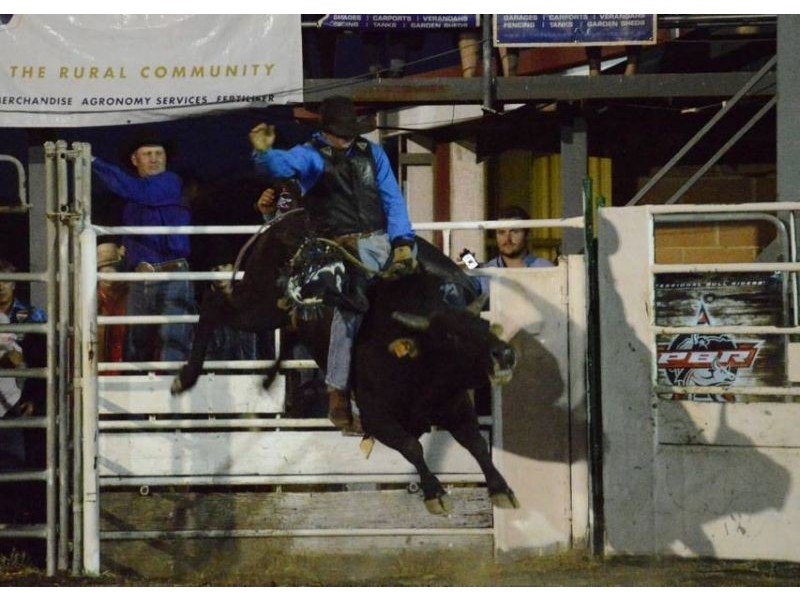 69 Burn Street, Capella QLD 4723