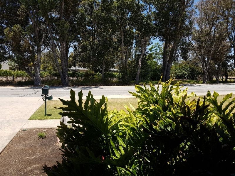 44 Wilson, Pinjarra WA 6208