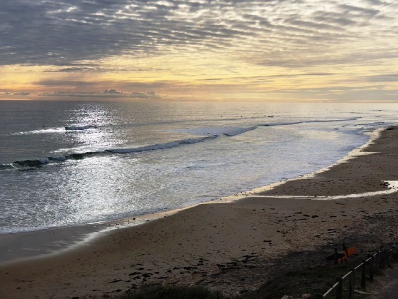 29 Cowrie Drive, Seaford Rise SA 5169