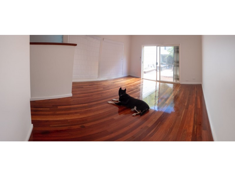 103 Albion St, Annandale NSW 2038