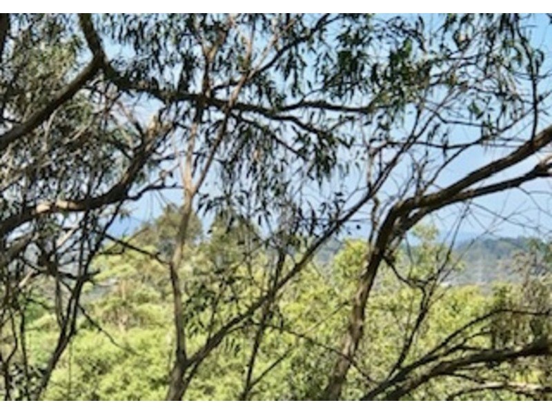 106 Sackville Street, Montmorency VIC 3094