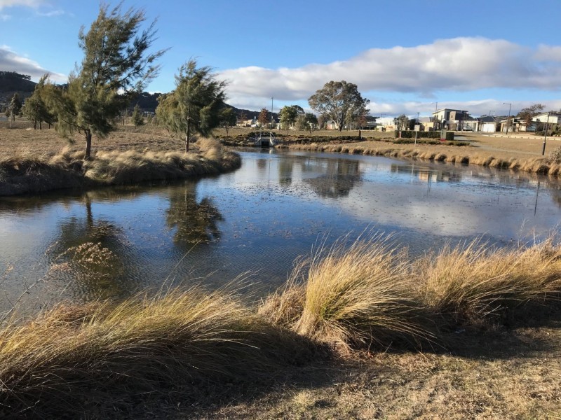 5 Proud Street, Forde ACT 2914