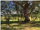 30 Dilston road, Dilston TAS 7252