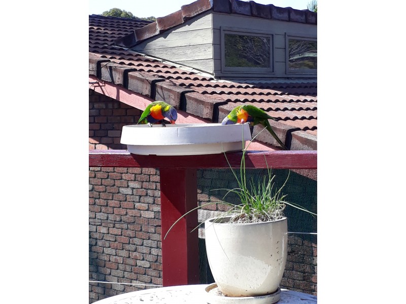 4 Hilltop Cres, Surf Beach NSW 2536