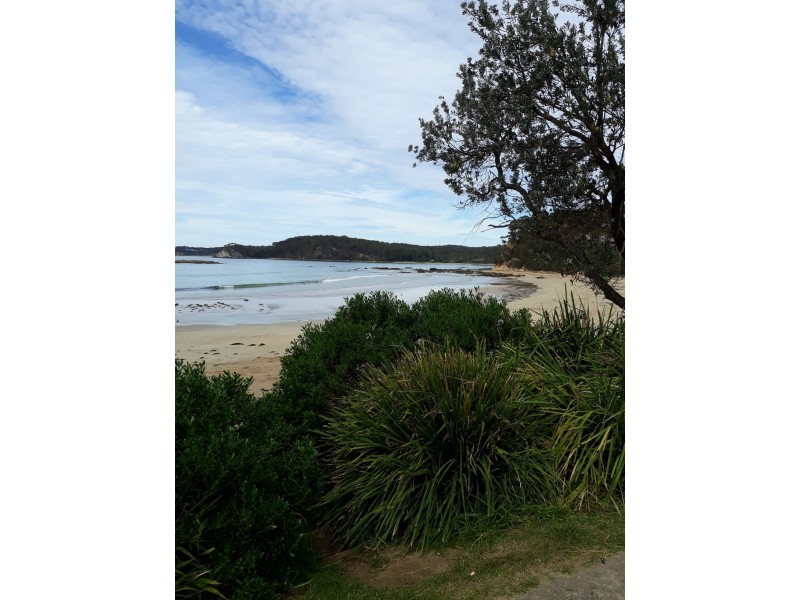 4 Hilltop Cres, Surf Beach NSW 2536