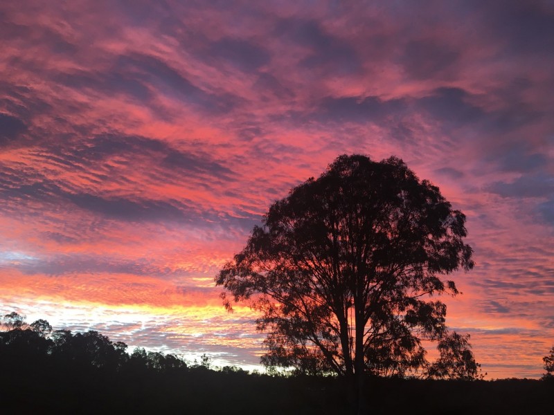 12 Kelso Court, Clear Mountain QLD 4500