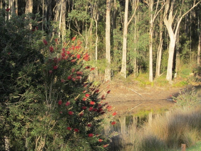 1348D Old Princes Highway, Batemans Bay NSW 2536