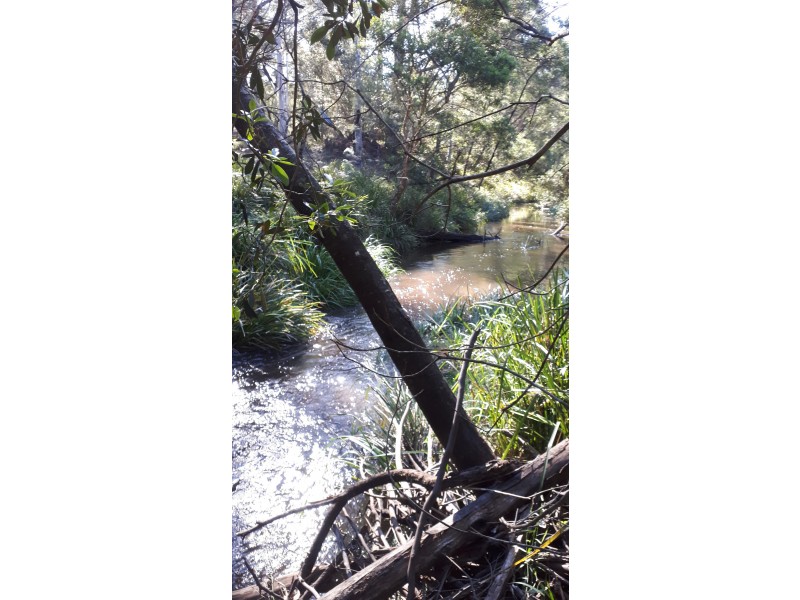 1348D Old Princes Highway, Batemans Bay NSW 2536