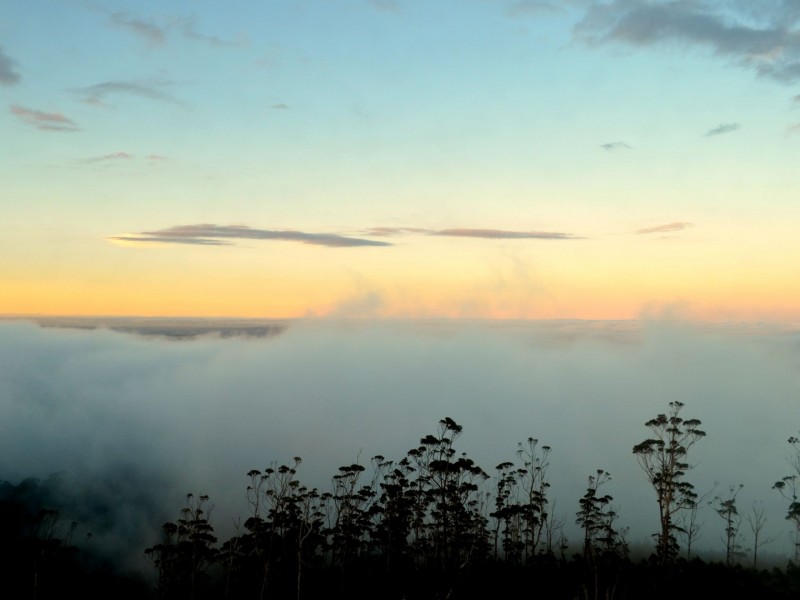 535 New England Road, Goulds Country TAS 7216