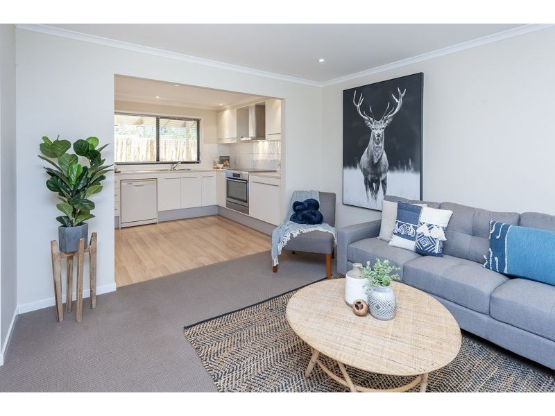 89 Olive Street, Prospect SA 5082