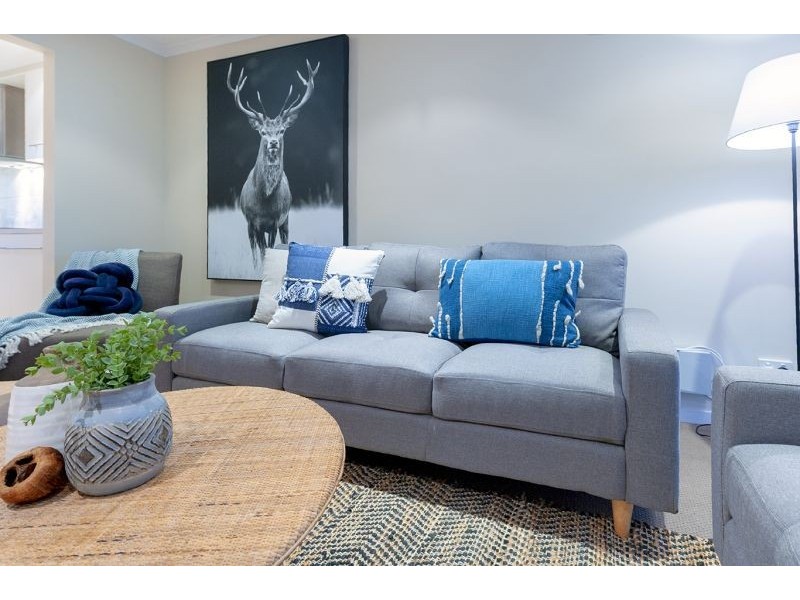 89 Olive Street, Prospect SA 5082