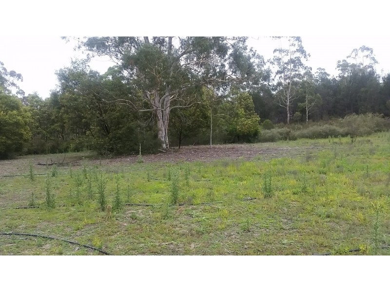 123 Oallen Road, Oallen NSW 2622