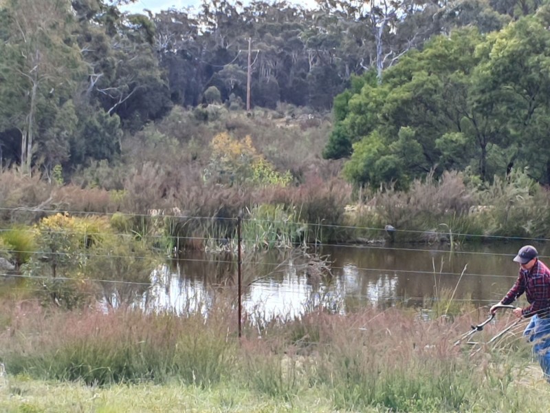 123 Oallen Road, Oallen NSW 2622