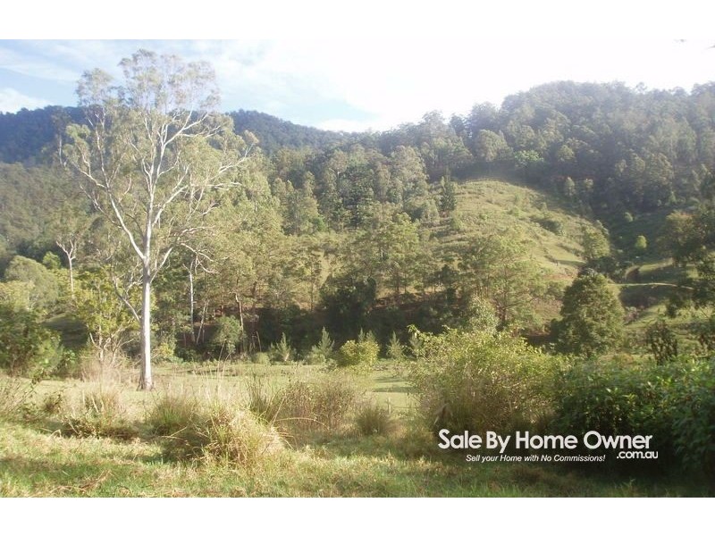 Lynchs Creek NSW 2474