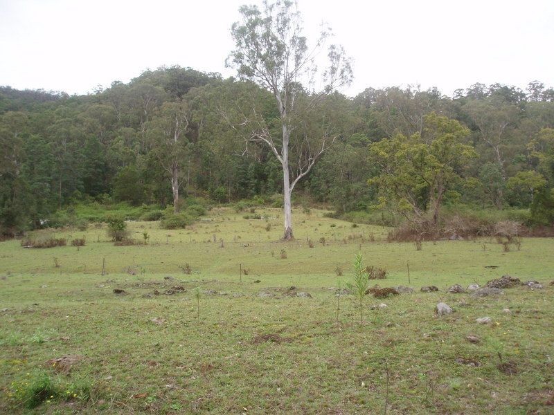 Lynchs Creek NSW 2474