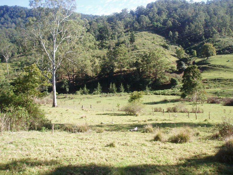 Lynchs Creek NSW 2474