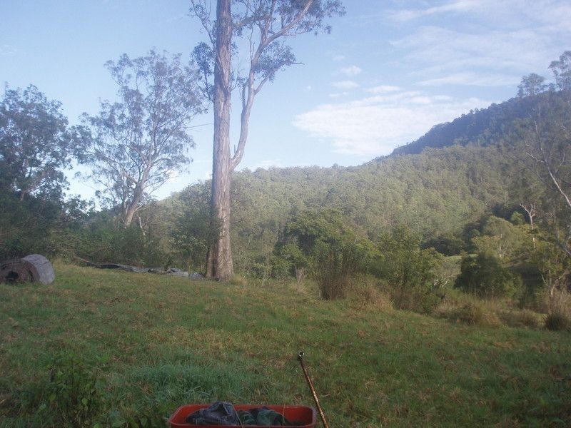 Lynchs Creek NSW 2474