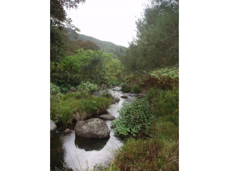 Lynchs Creek NSW 2474